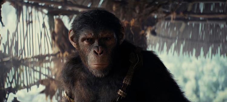 An ape with human-like features standing in a wooden hut in the middle of the jungle, staring directly at you